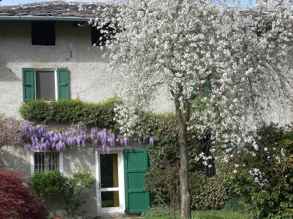 B&B L'Isola Piantedo エクステリア 写真